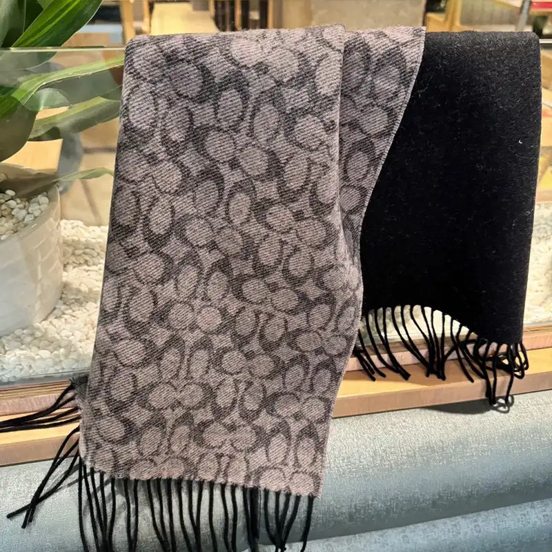 SCARVES scarves 2410SC0190