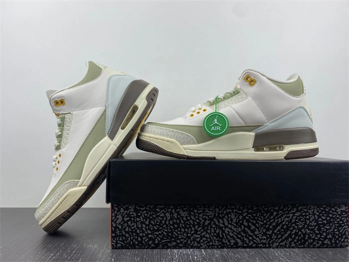 Air Jordan 3 DX6660- TravelReady 3816