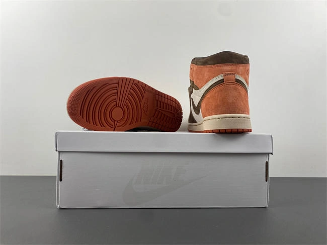 Neat Jordan 1 Retro High OG SP Dusted Clay FQ2941- 3651