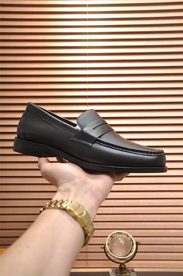 DailyWear Lv Loafer 1931