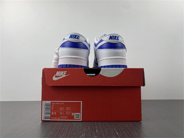 Lightweight Nike Dunk Low DD1391- 4822