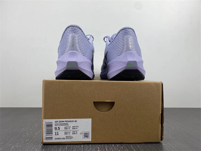 Nike Pegasus 40 DV3853- Seasonal 5311